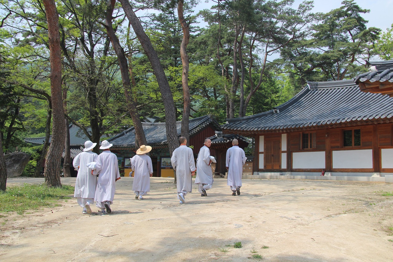 monk jikjisa monks free photo