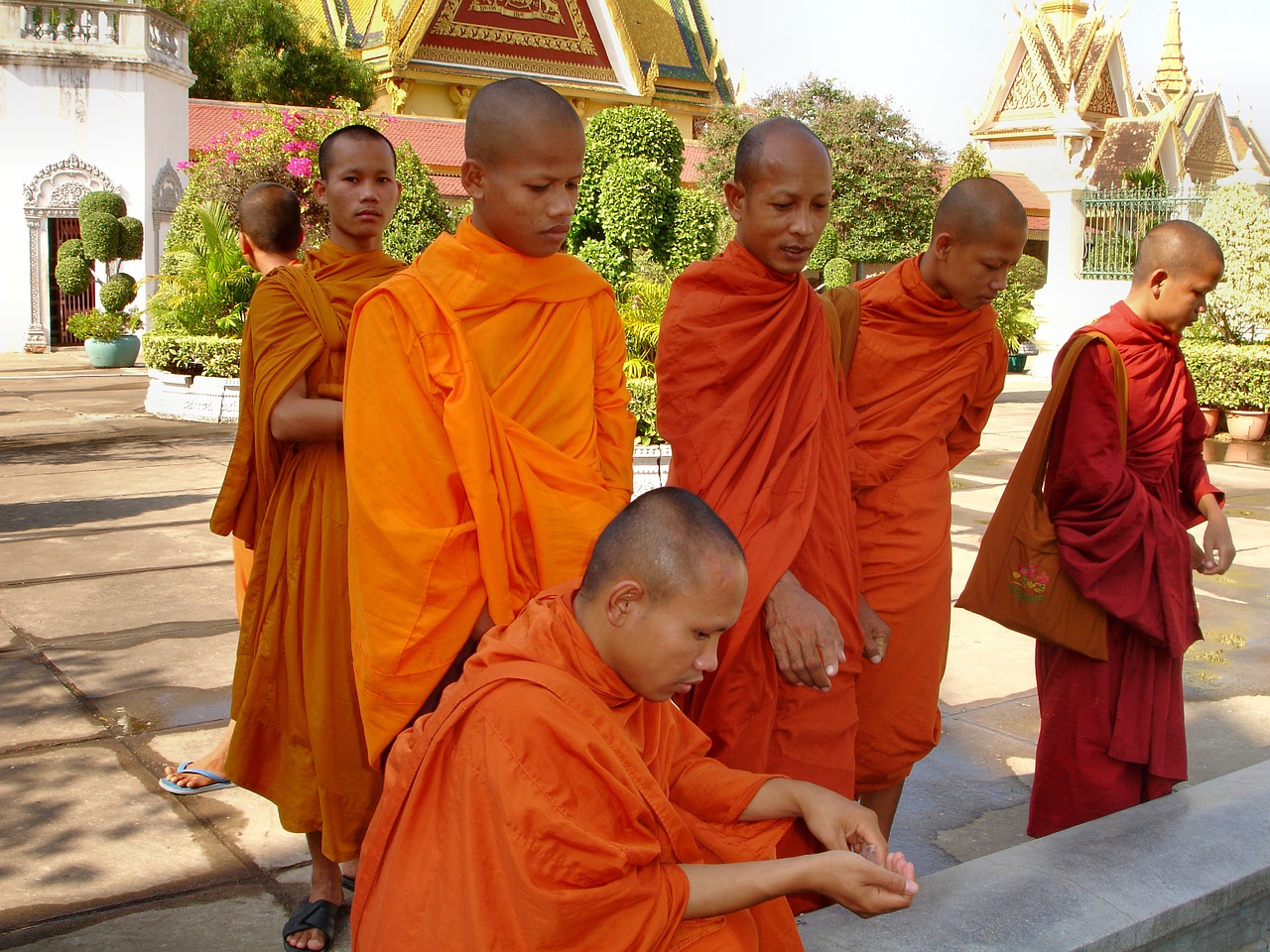 monk religion monks free photo