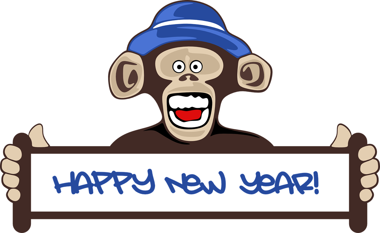 monkey funny monkey new year free photo