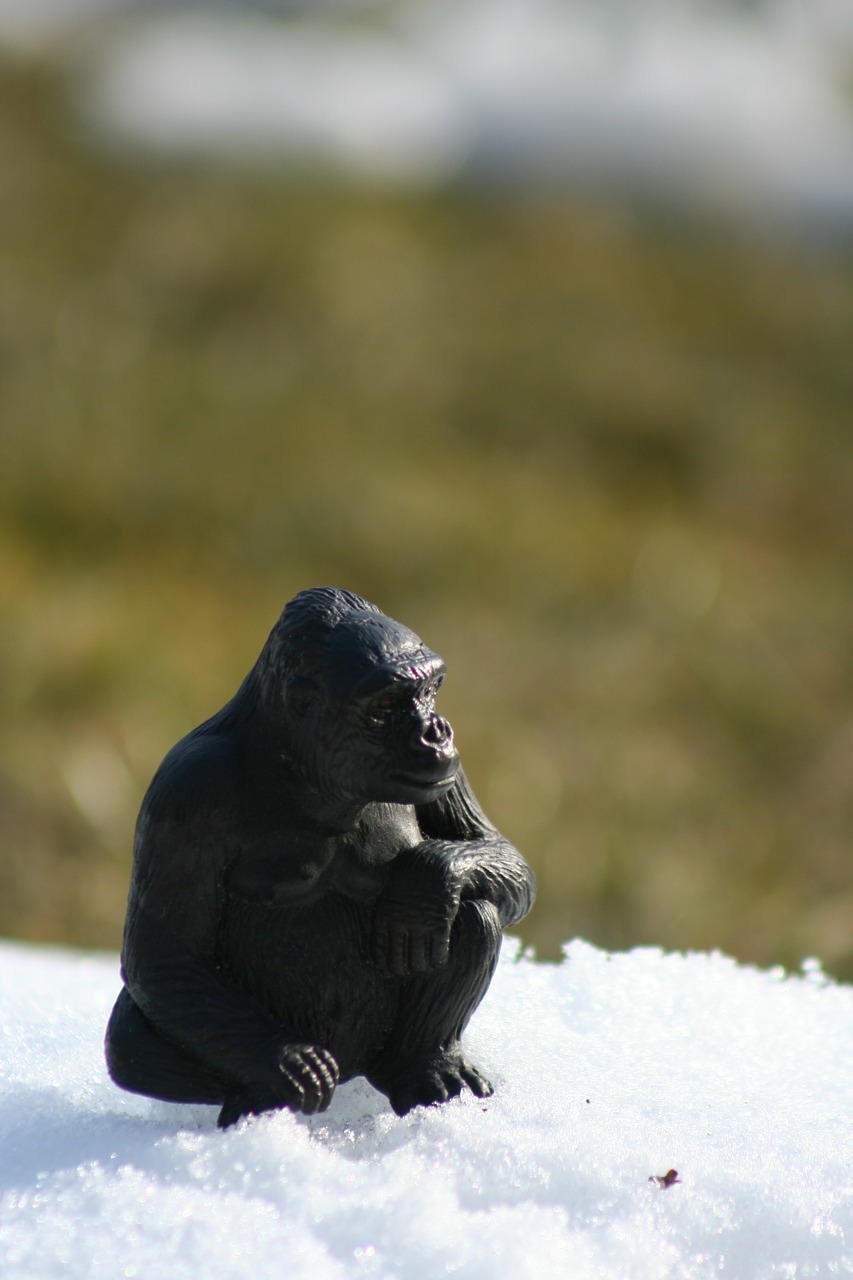 monkey figure ape free photo