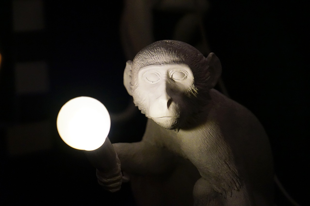 monkey light bulb light free photo