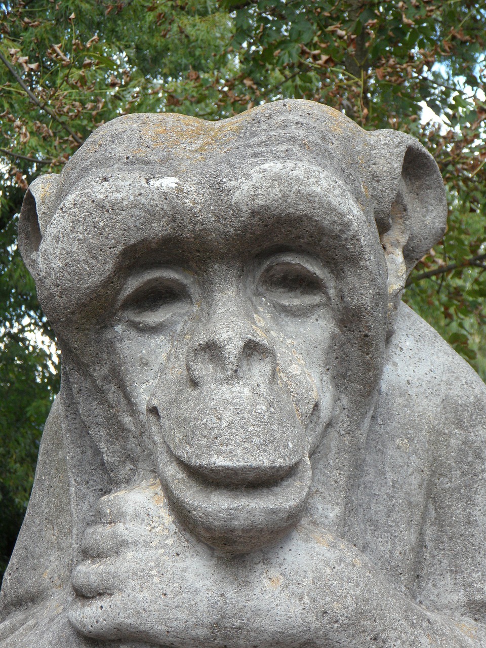 monkey stone stony free photo