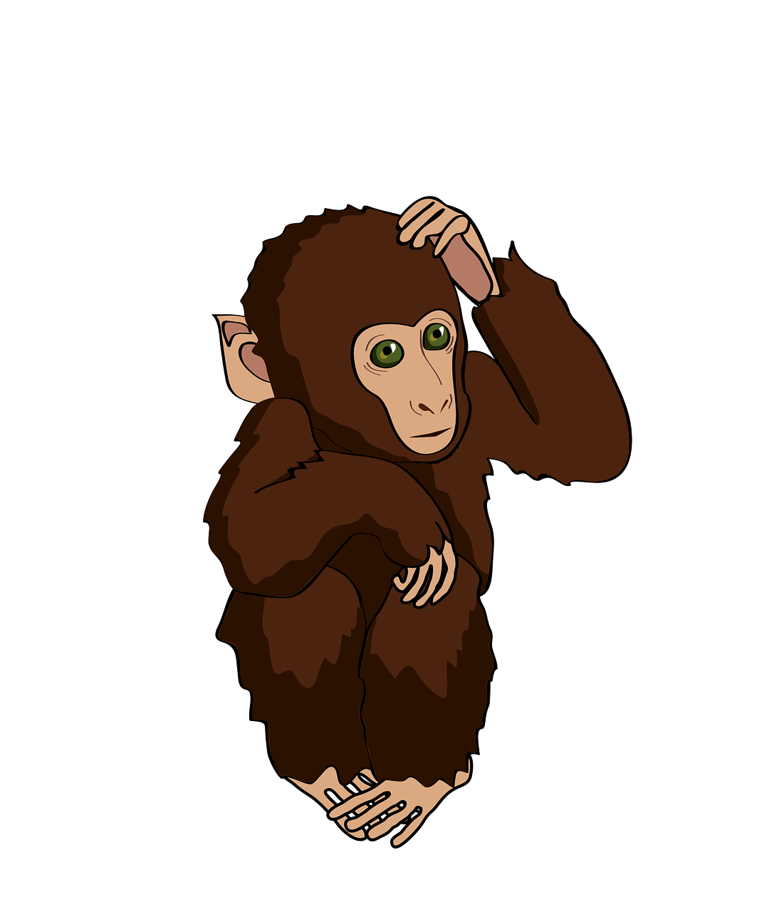 monkey marmoset think free photo