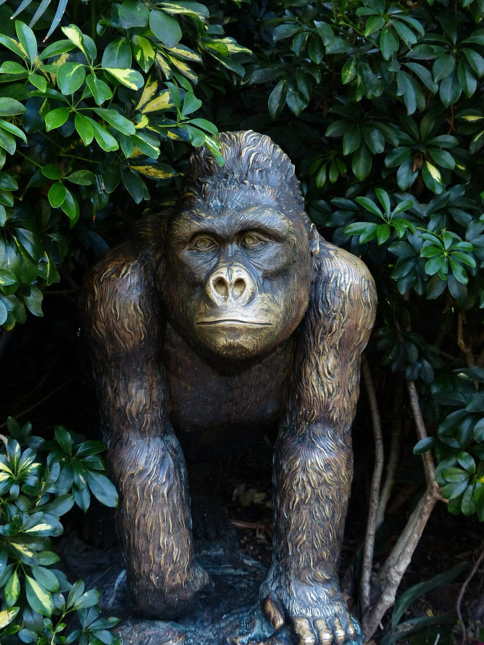 monkey bronze statue figure free photo