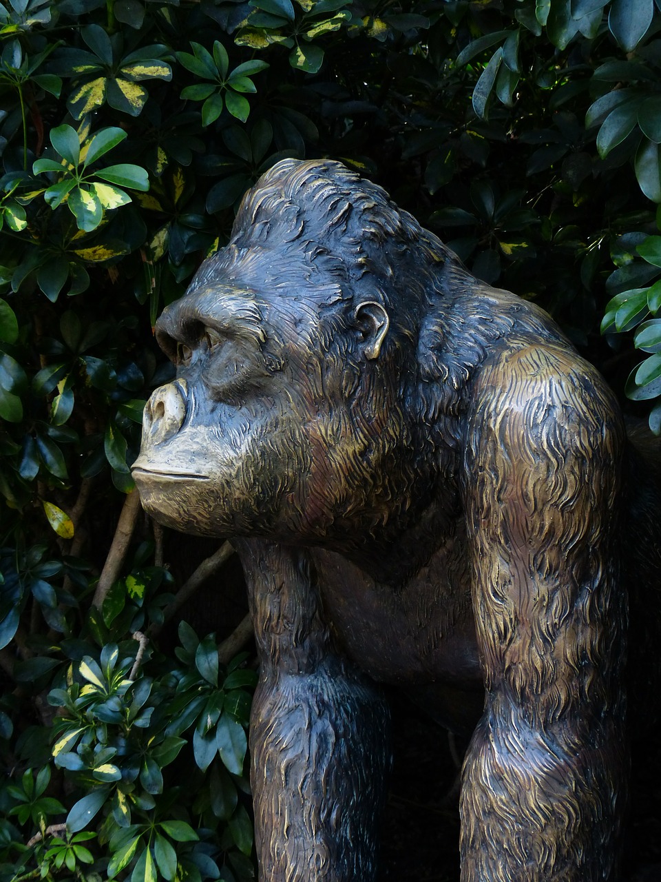 monkey bronze statue figure free photo