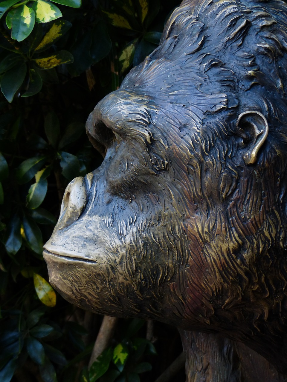 monkey bronze statue figure free photo