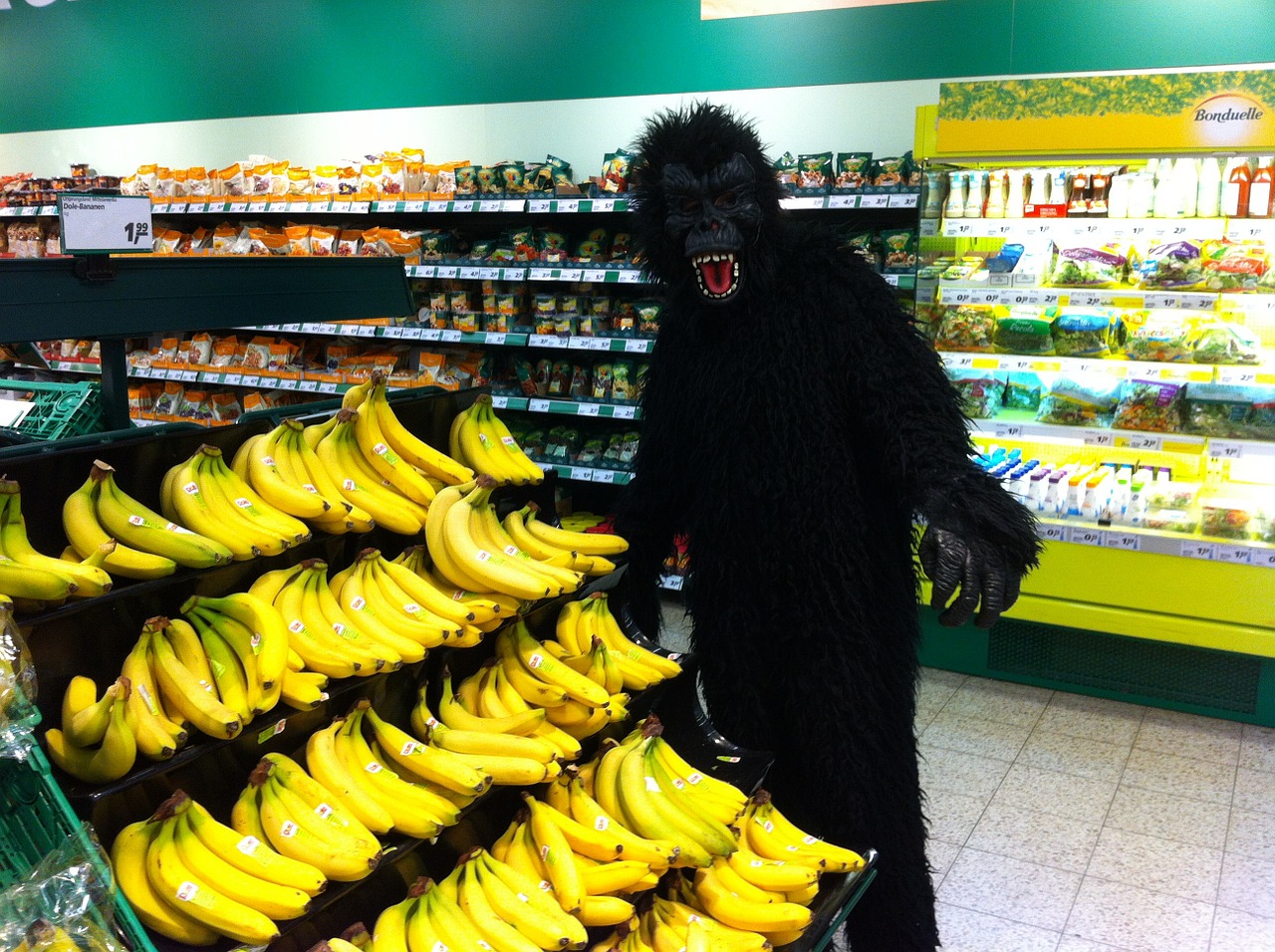 monkey banana costume free photo