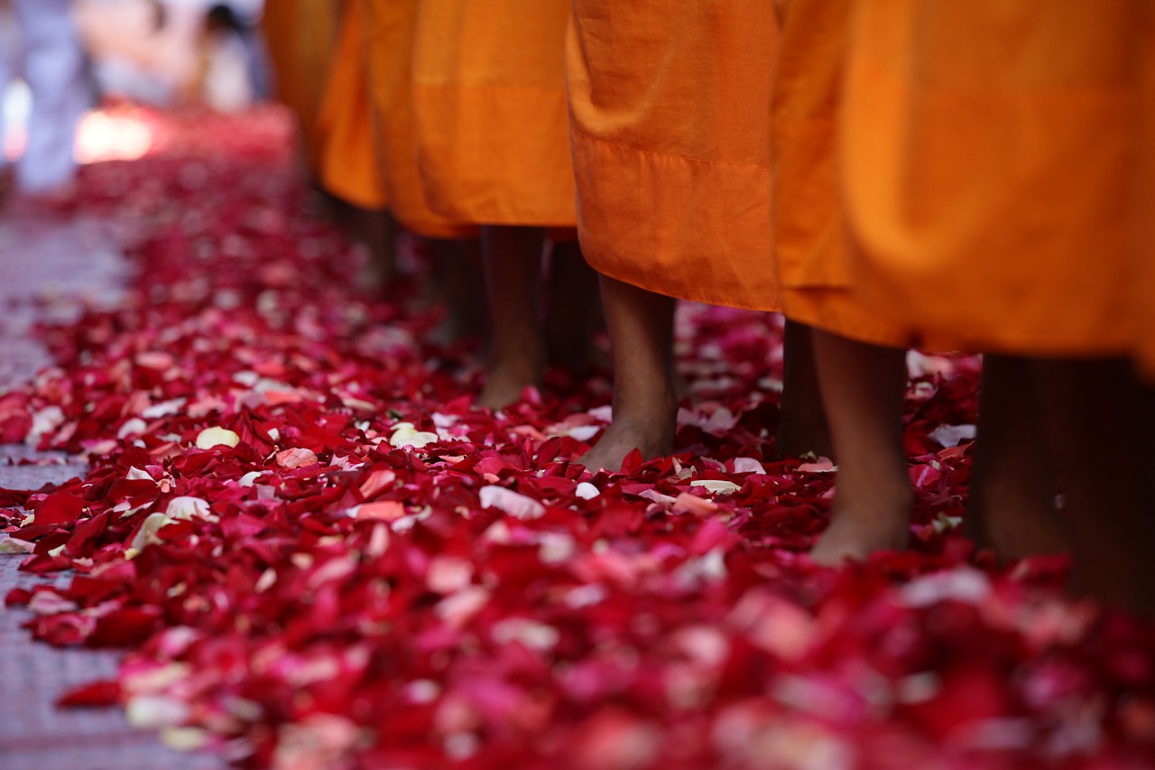 monks buddhists walk free photo