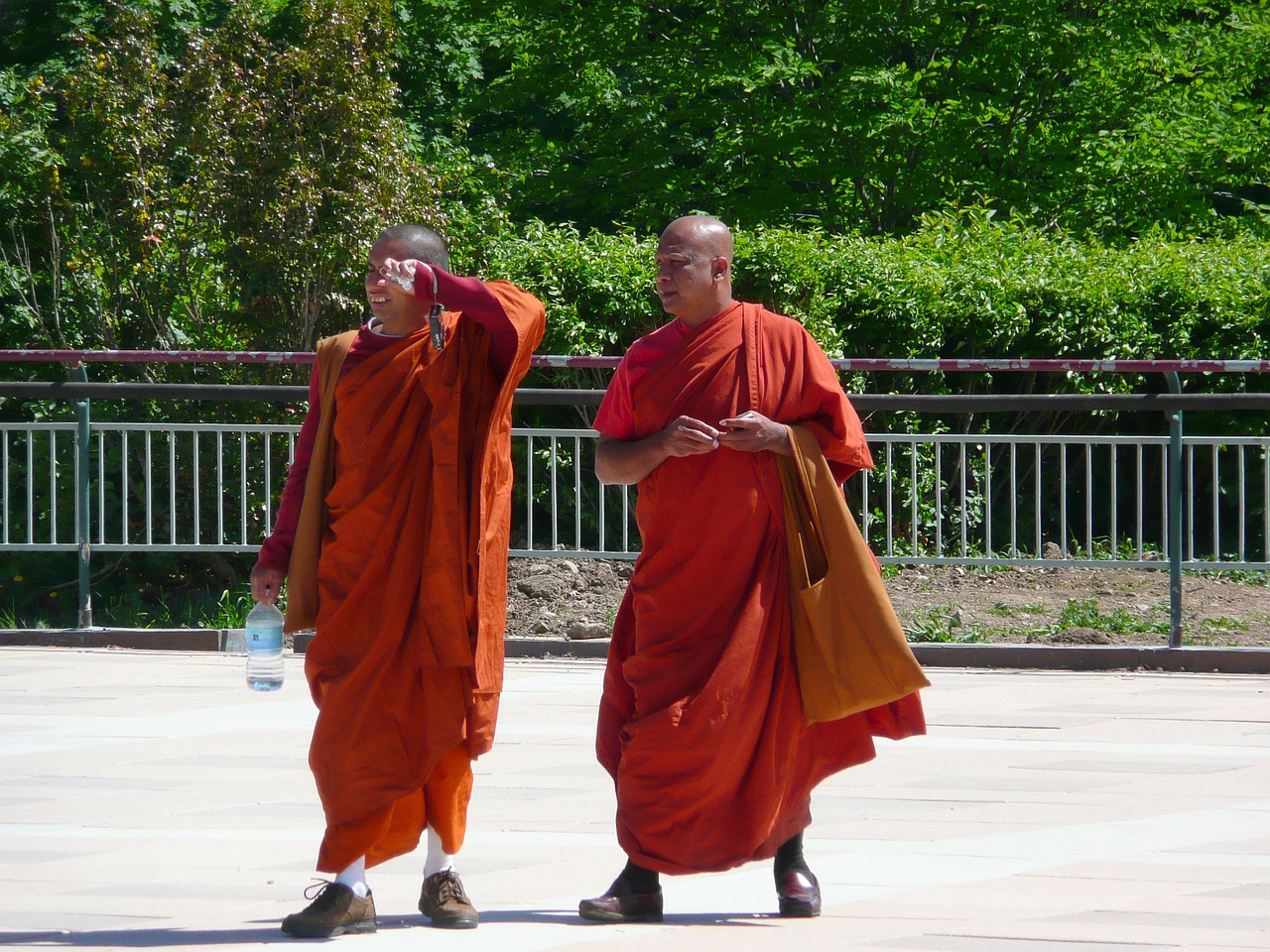monks buddhist person free photo