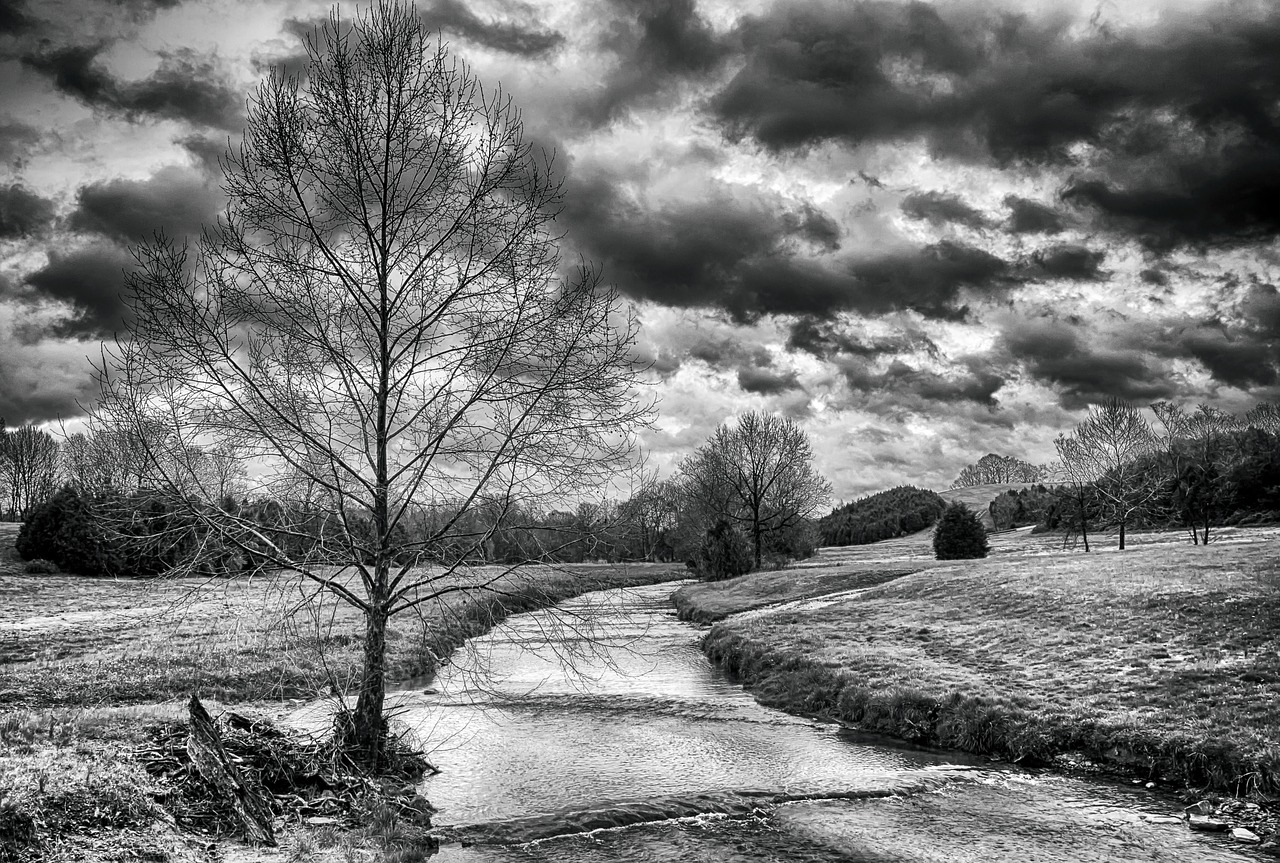 monochrome black and white scenery free photo