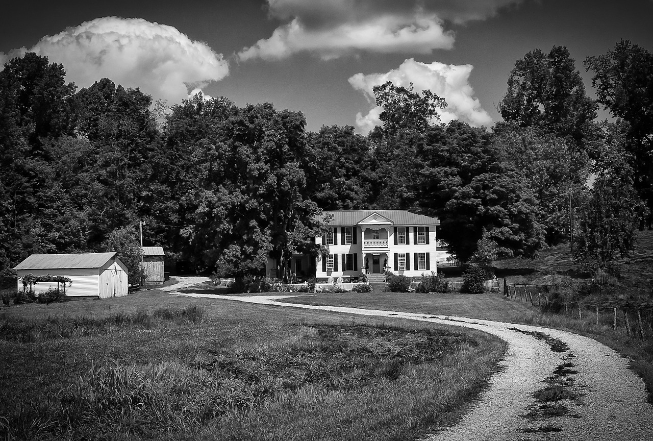 monochrome black and white scenery free photo