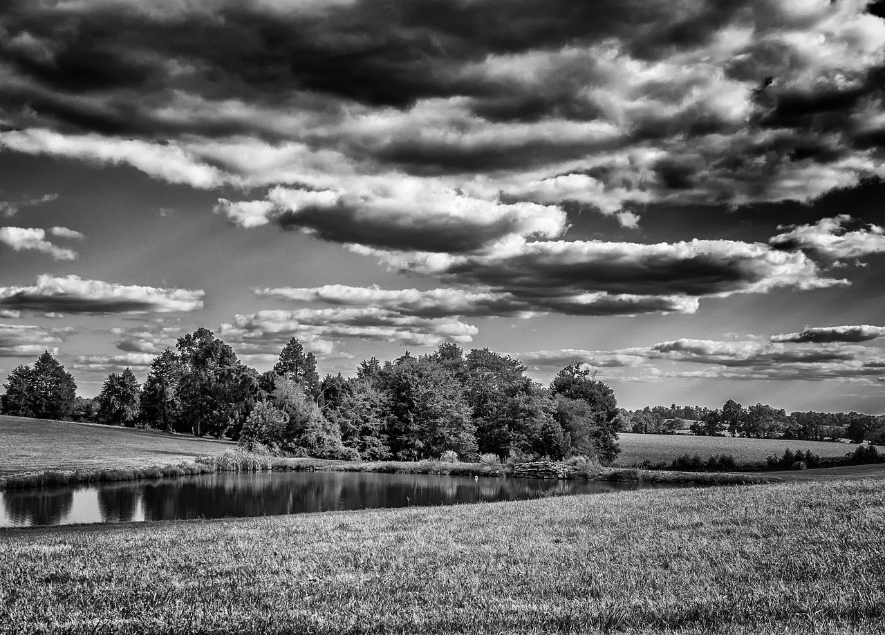 monochrome black and white country free photo