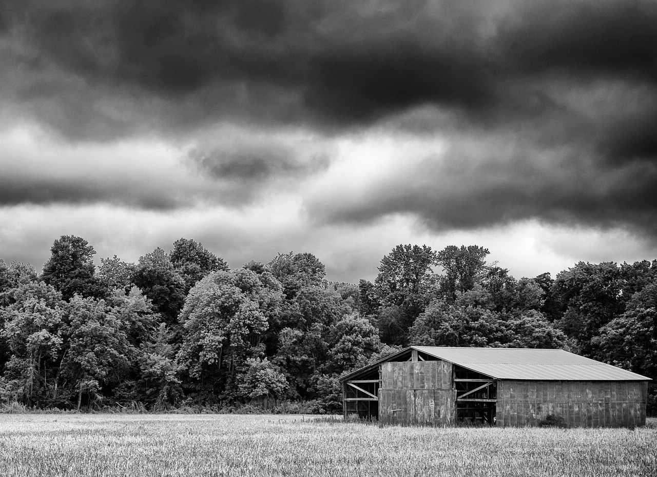 monochrome black and white landscape free photo