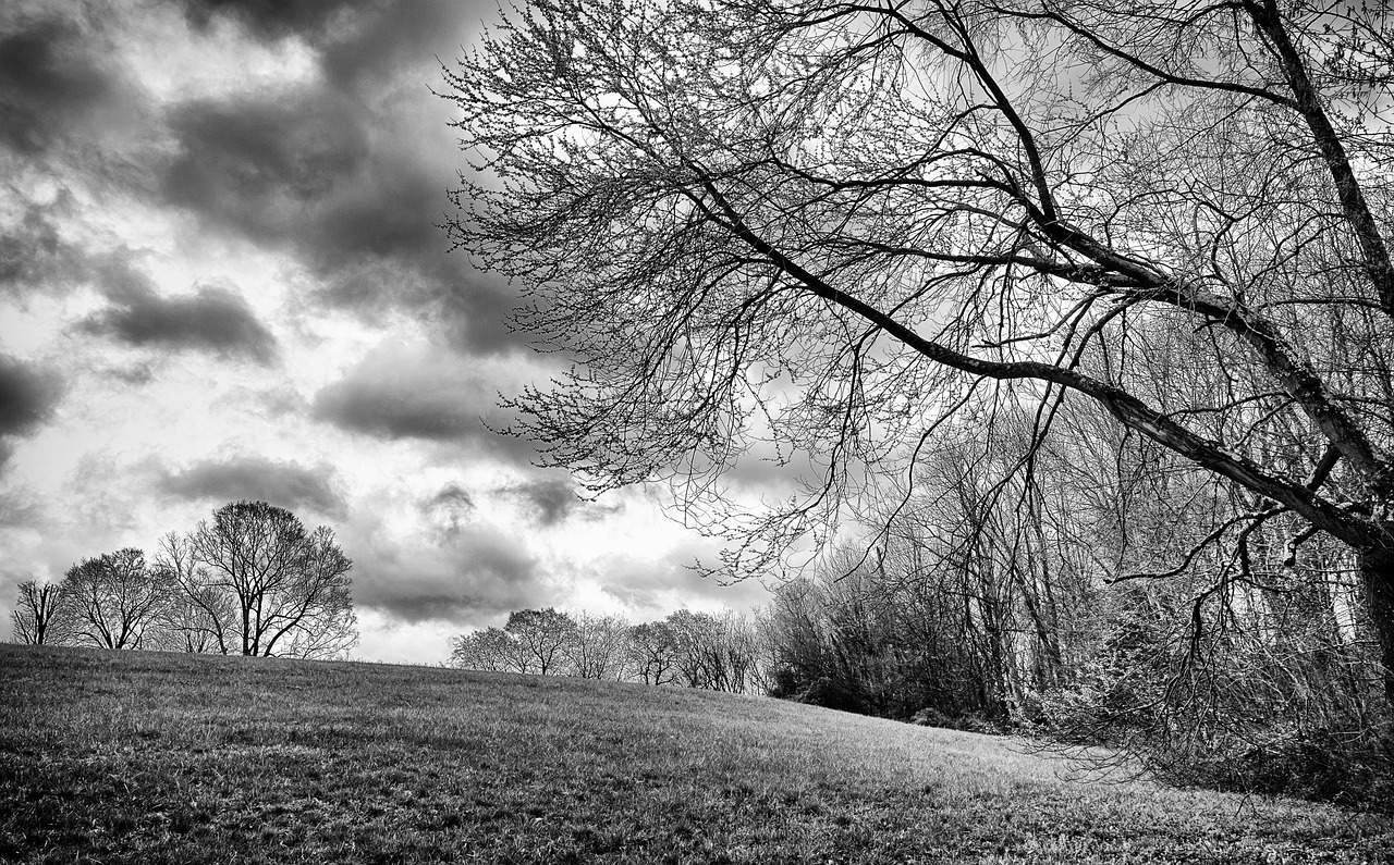 monochrome black and white country free photo