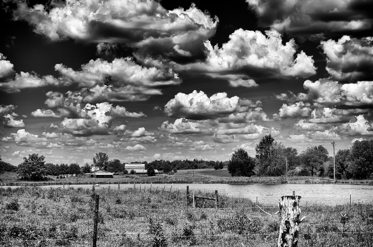 monochrome black and white country free photo