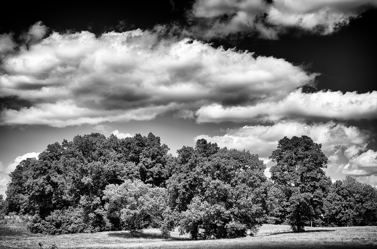 monochrome black and white country free photo