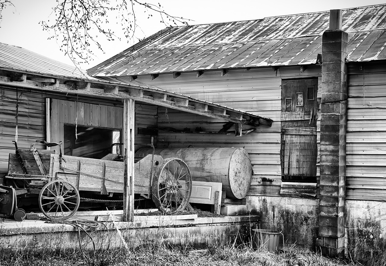 monochrome black and white country free photo