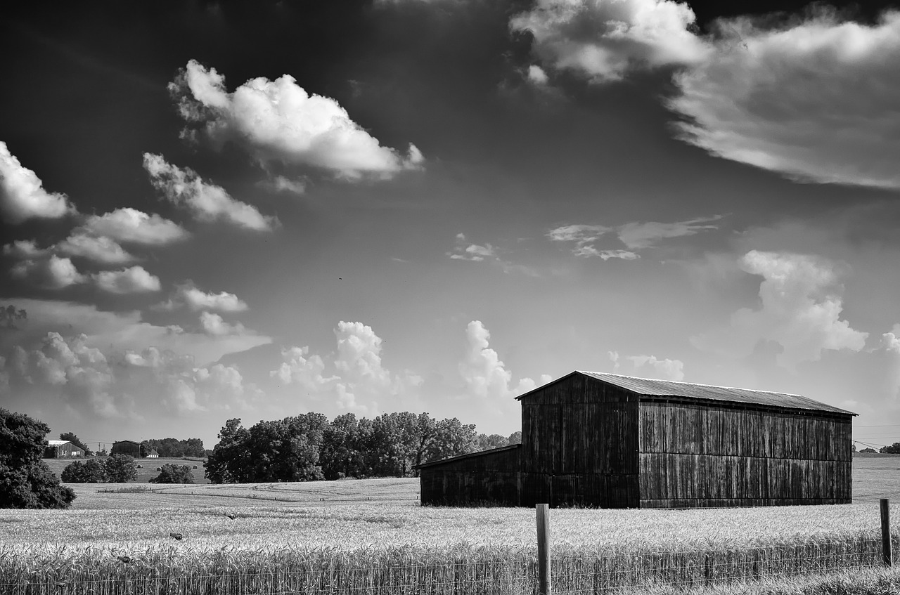 monochrome black and white country free photo