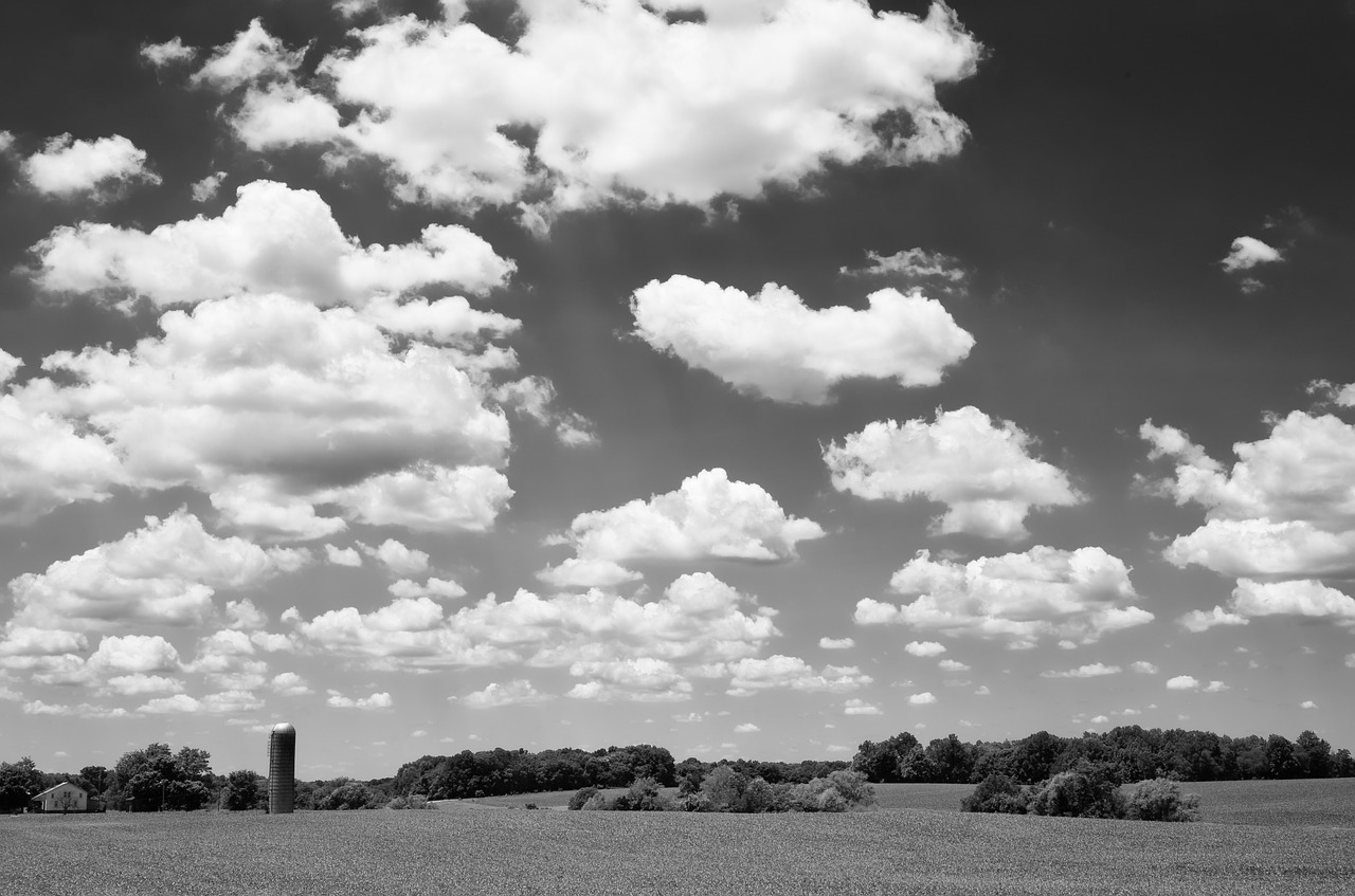 monochrome black and white country free photo