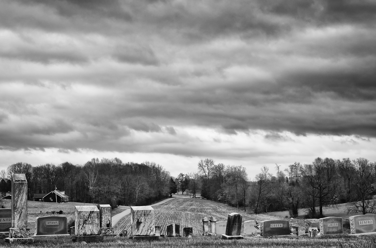 monochrome black and white country free photo