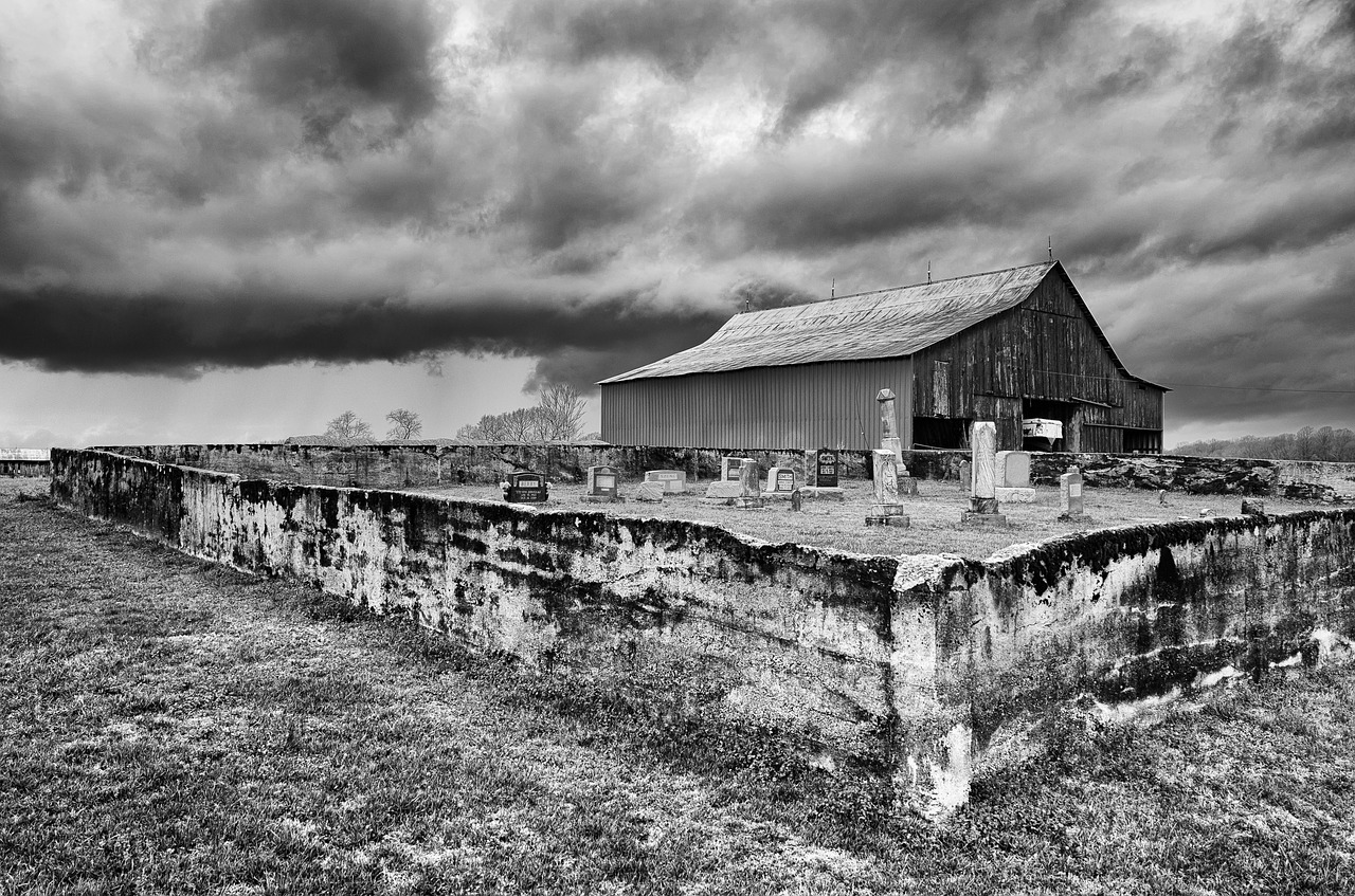 monochrome black and white country free photo