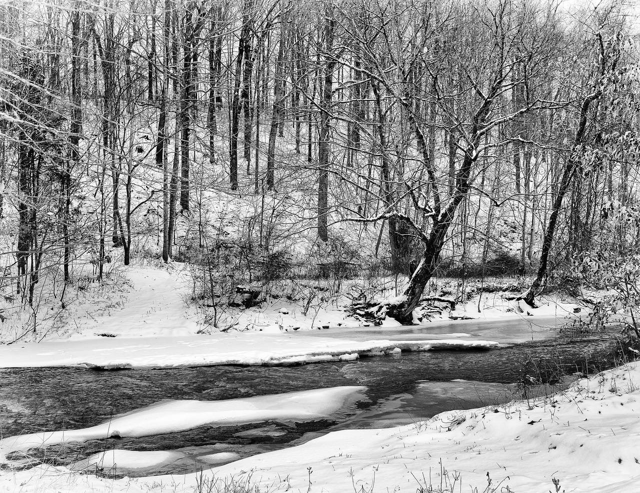 monochrome black and white landscape free photo