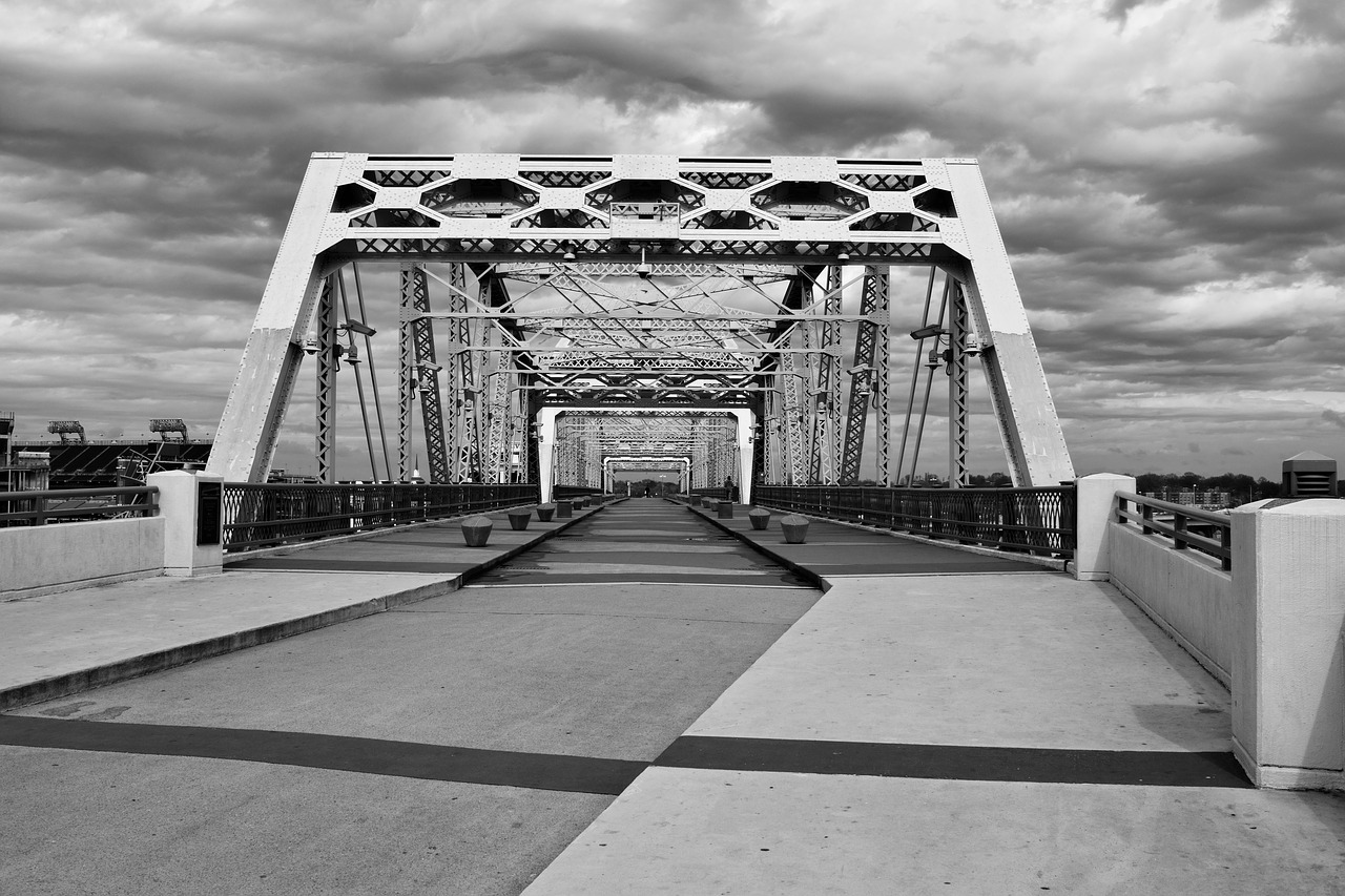 monochrome bridge panoramic free photo