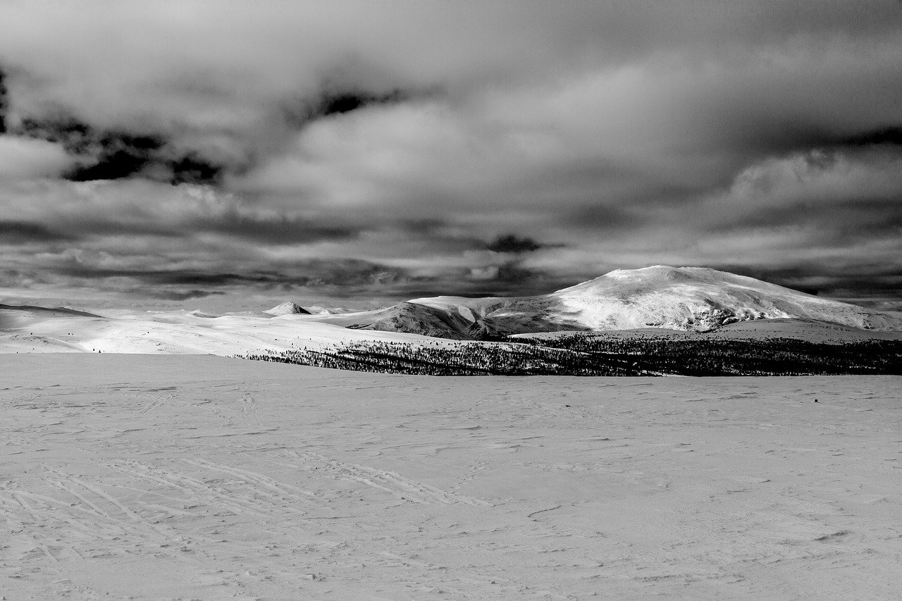 monochrome  mountain  snow free photo