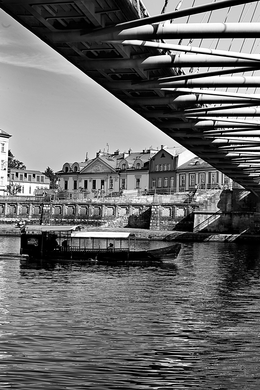 monochrome  blackandwhite  building free photo