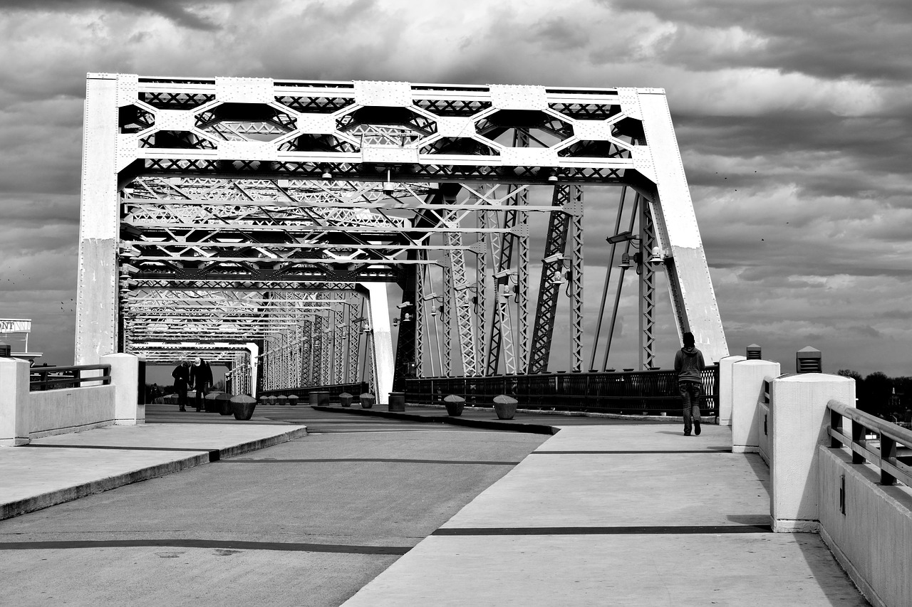 monochrome  bridge  panoramic free photo