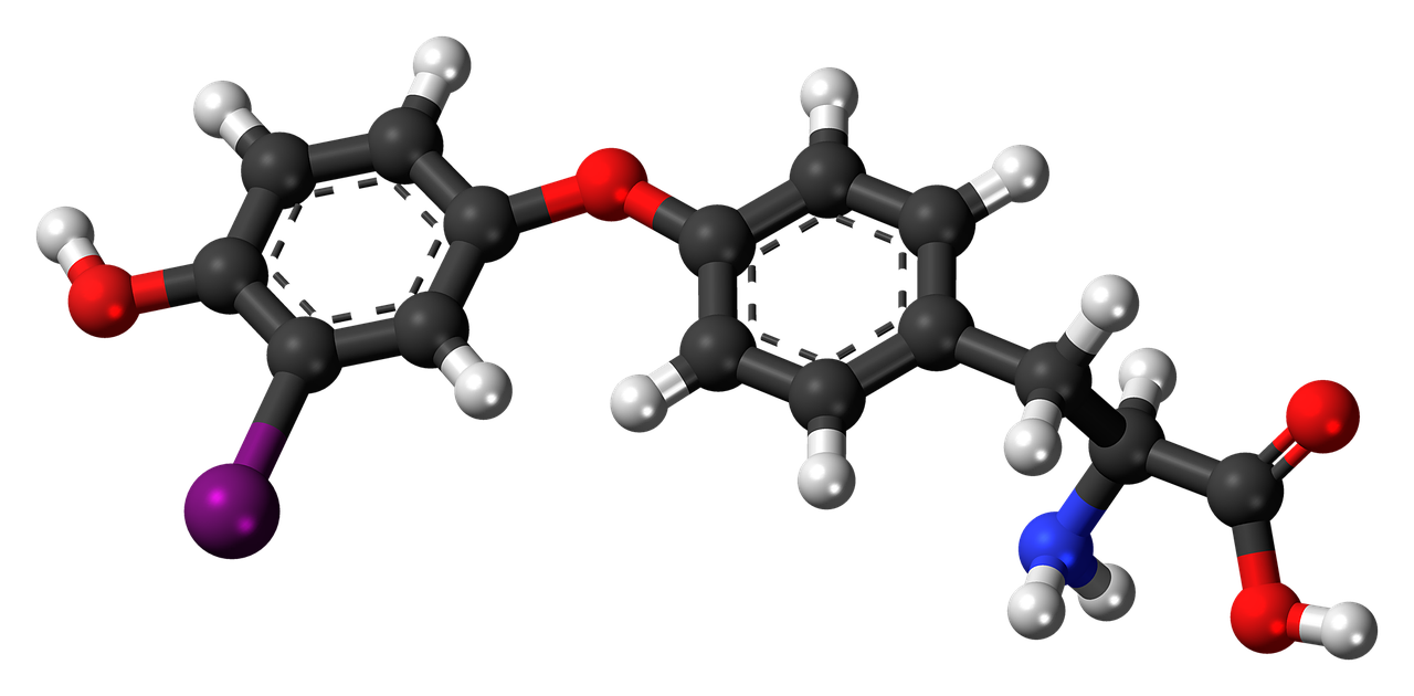 monoiodothyronine molecule aromatic free photo