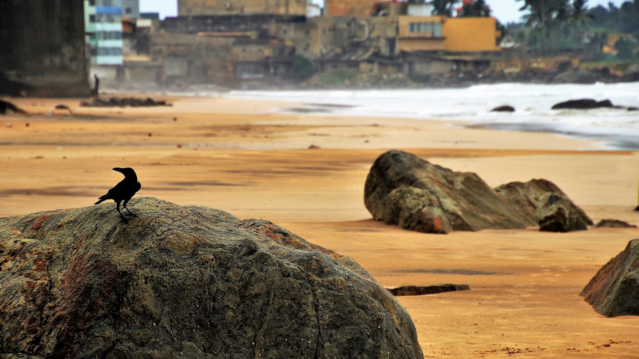 monolithic part of the waters sea beach free photo