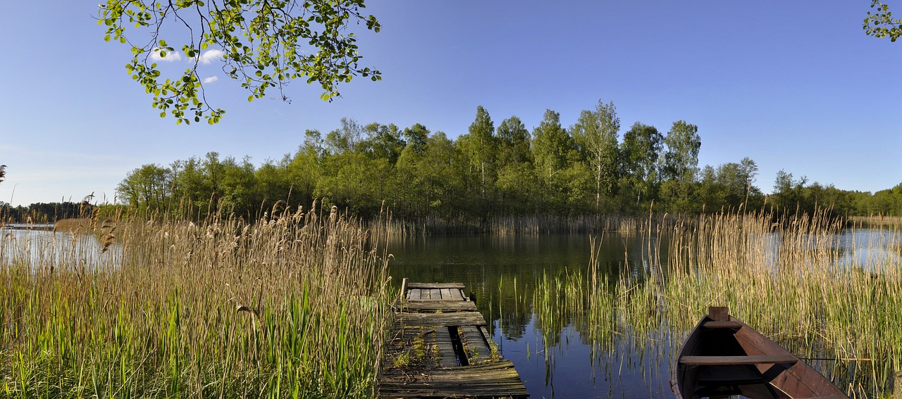 monolithic part of the waters the wave is reflected lake free photo