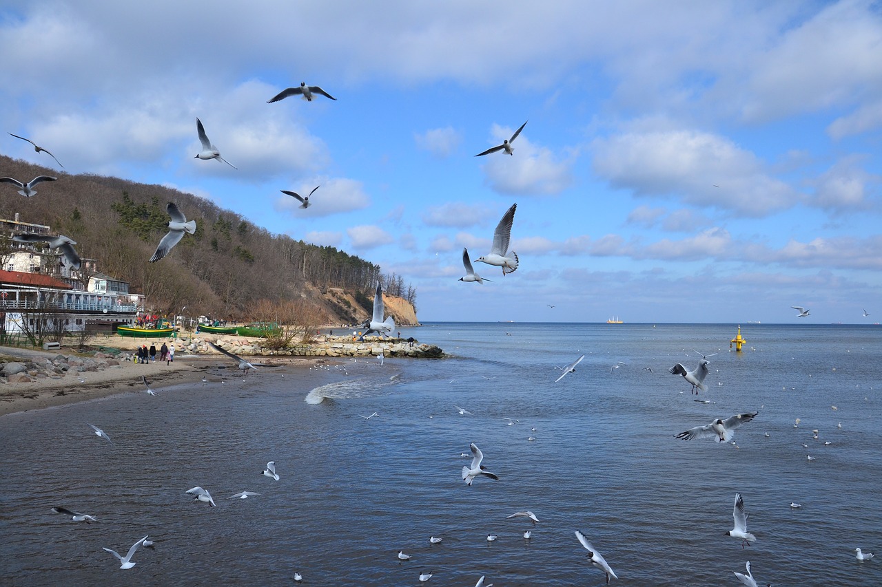 monolithic part of the waters  sea  the coast free photo