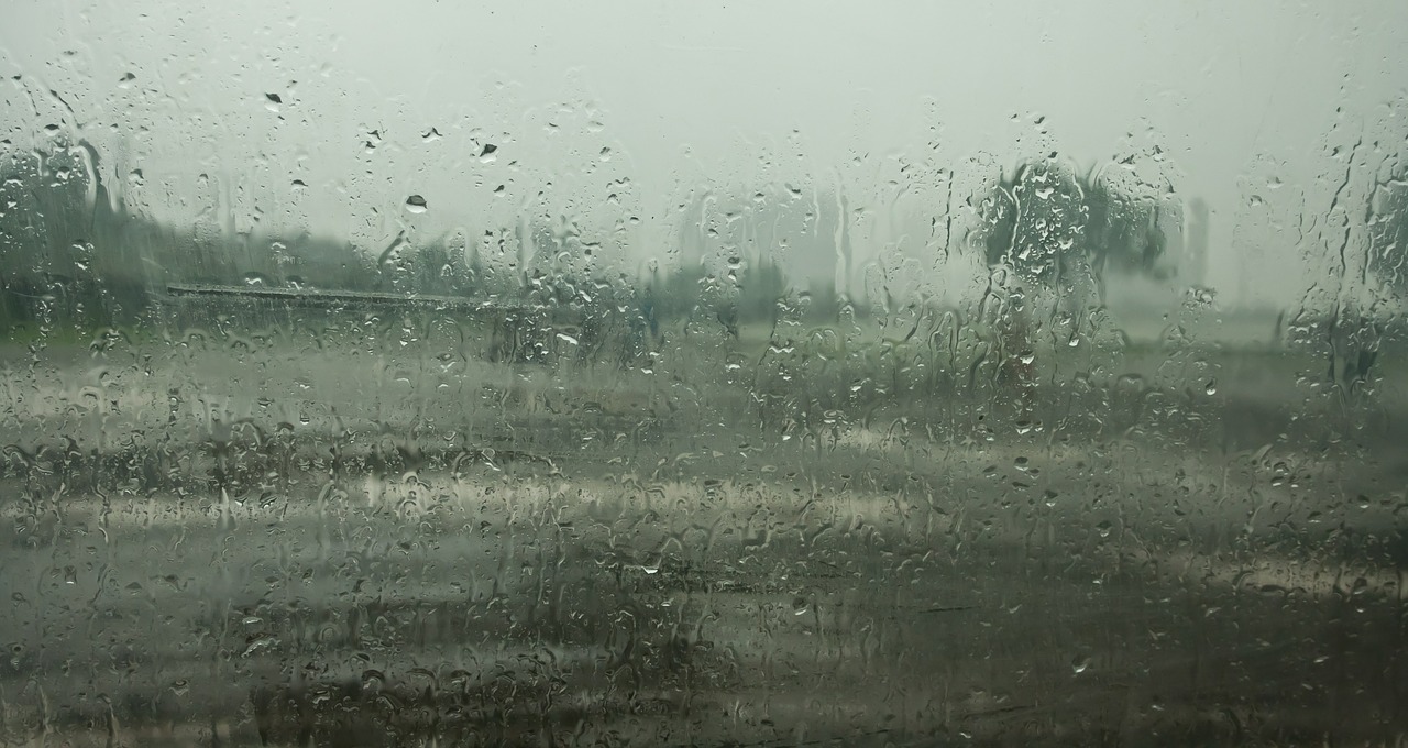monsoon raindrops rain free photo