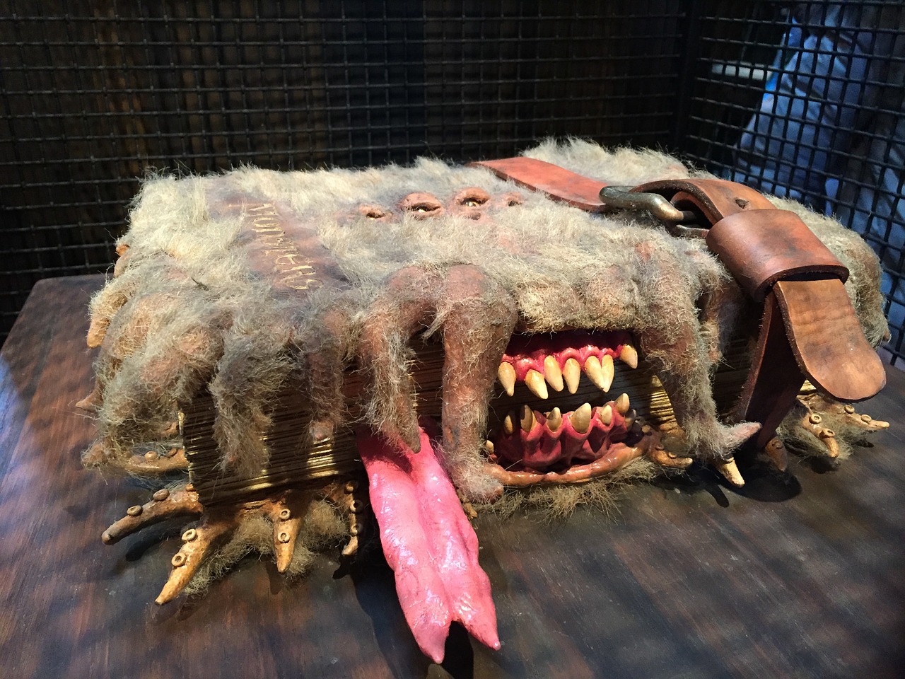 monster book of monsters harry potter universal studios free photo