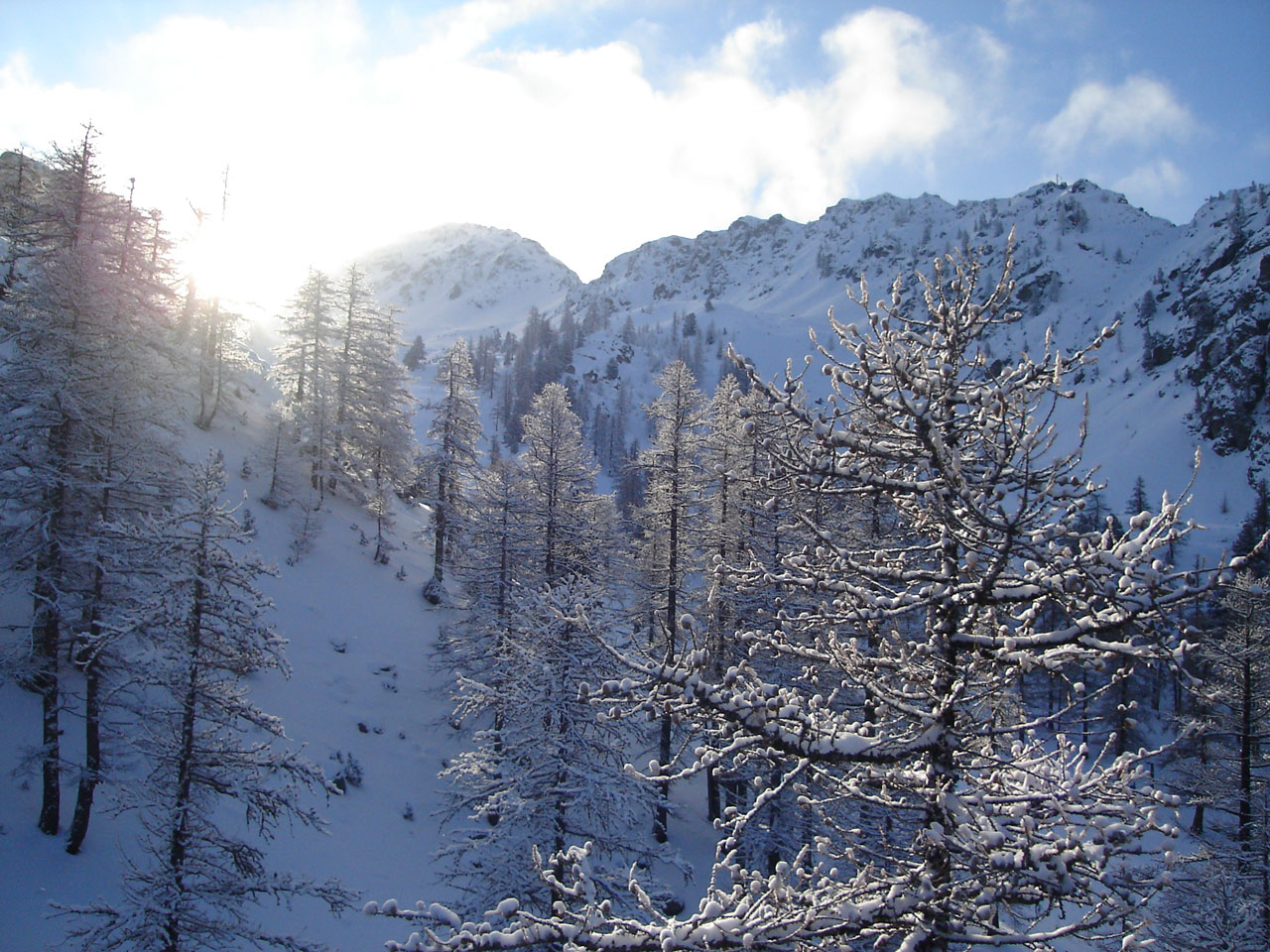 snowy mountain snow free photo