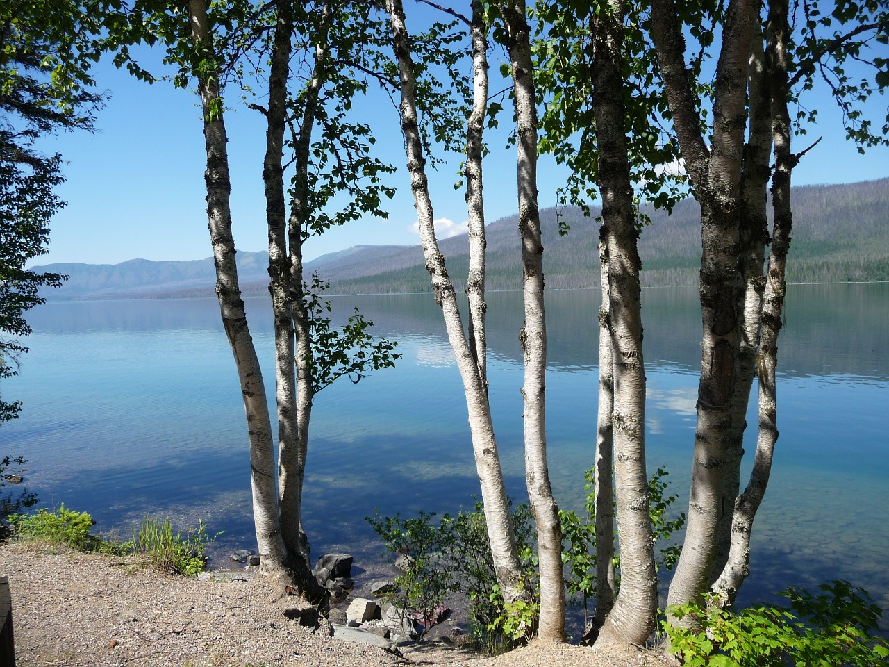 montana glacier national park lake free photo