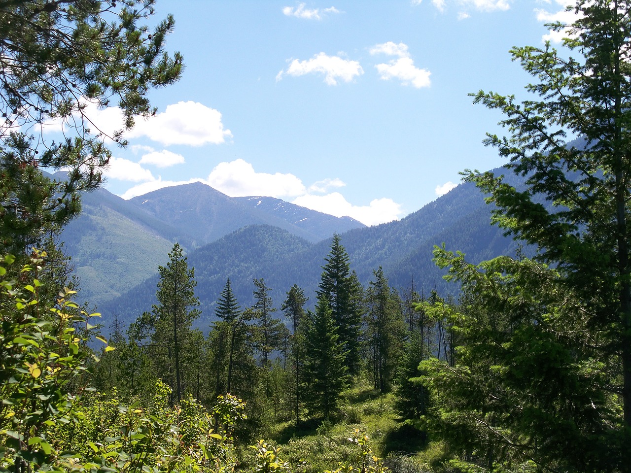 montana trail mountain free photo