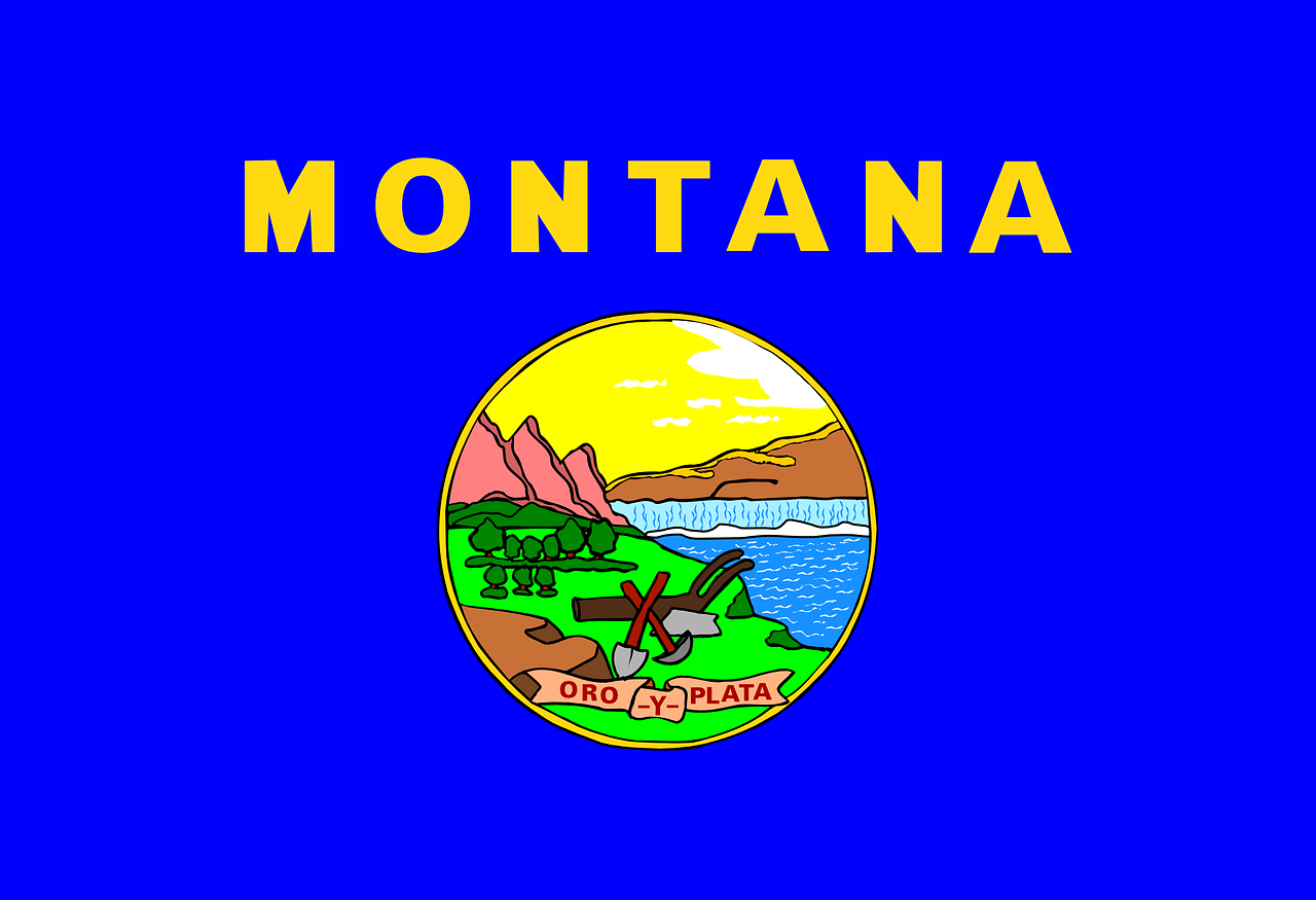 montana state flag blue free photo