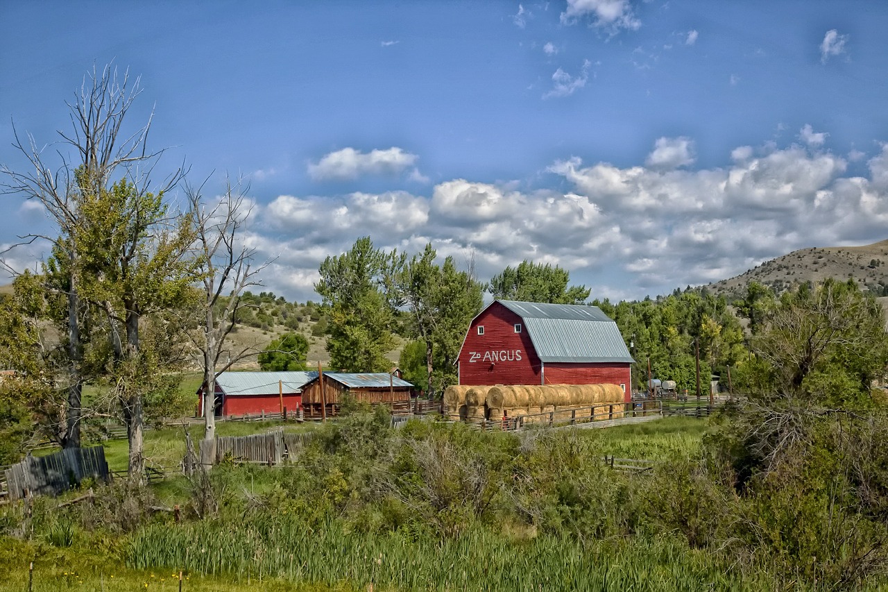 montana farm barn free photo