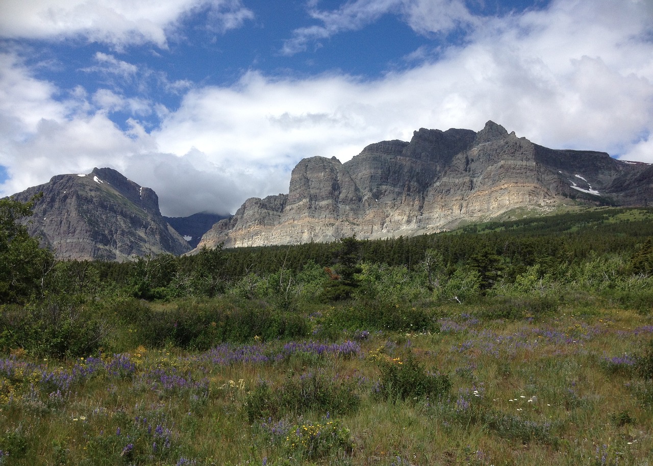 montana  glacier  national free photo