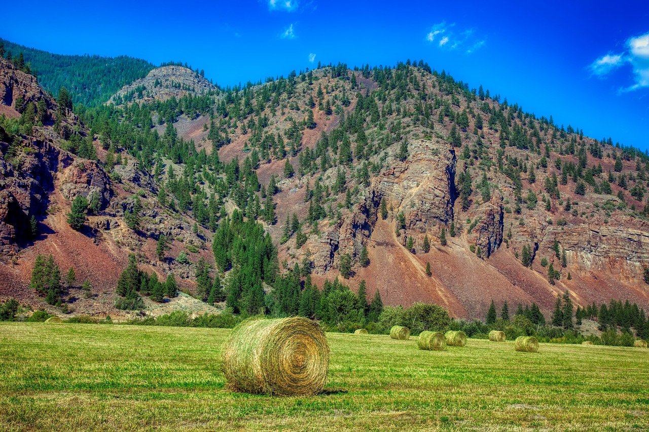 montana  america  mountains free photo