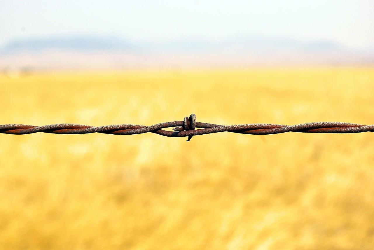 montana barbed wire  barbed  wire free photo