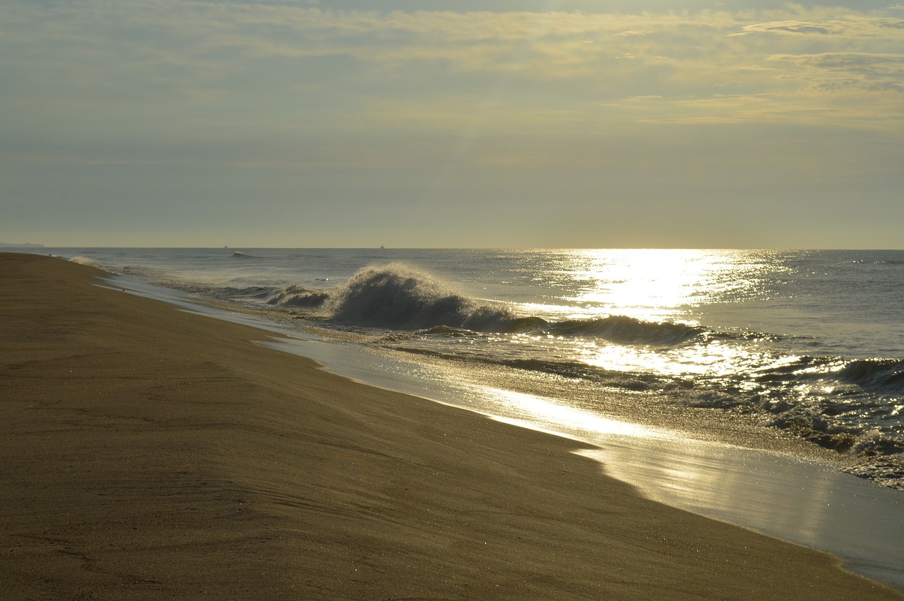 montauk sunrise ocean free photo