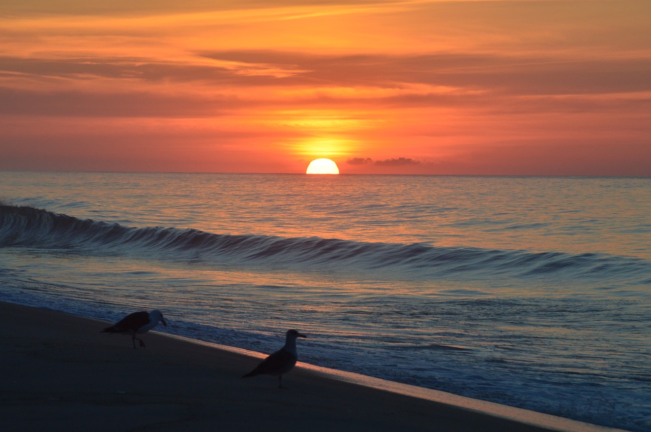 montauk sunrise ocean free photo