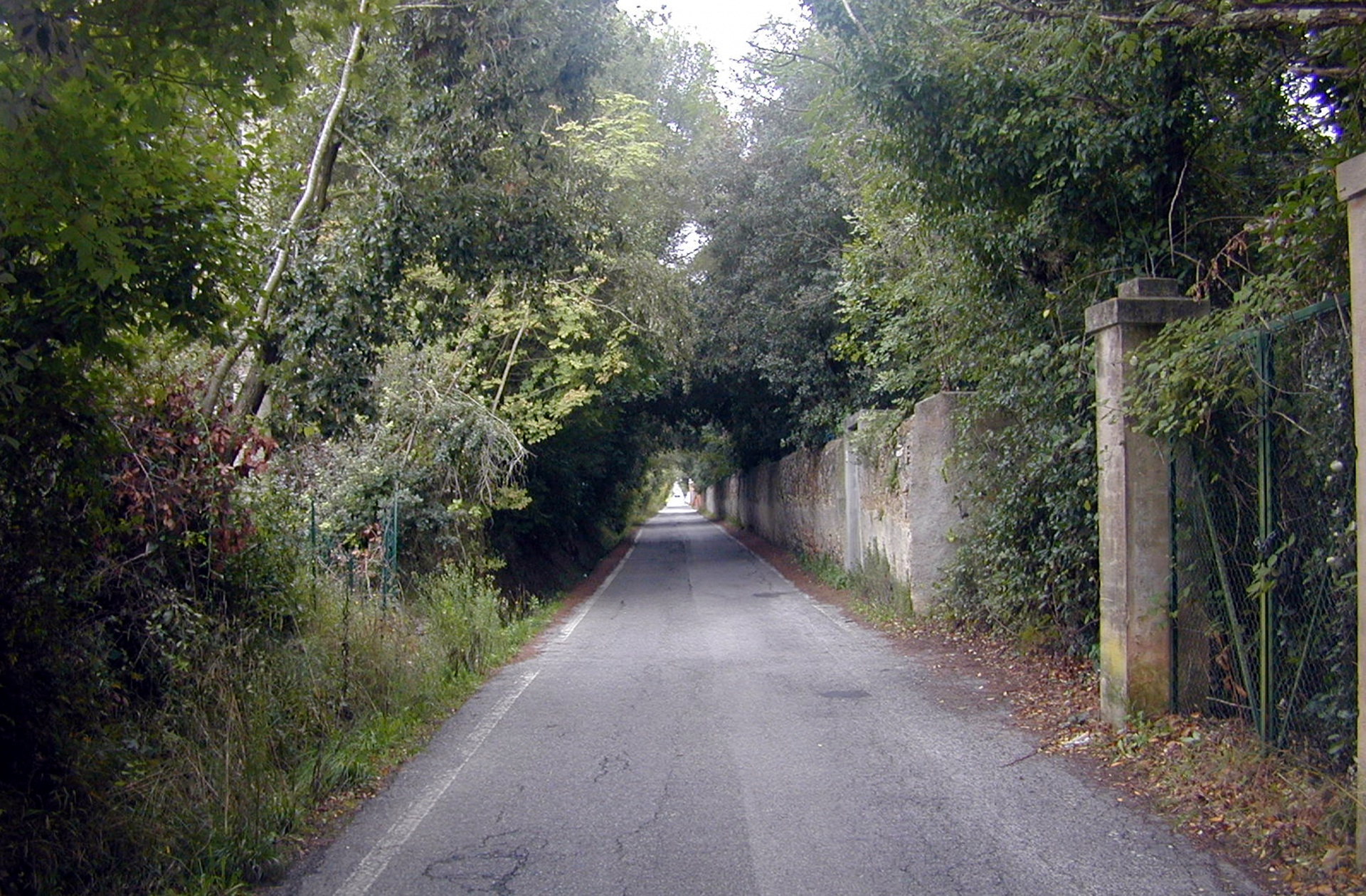 countryside rural street montenero free photo