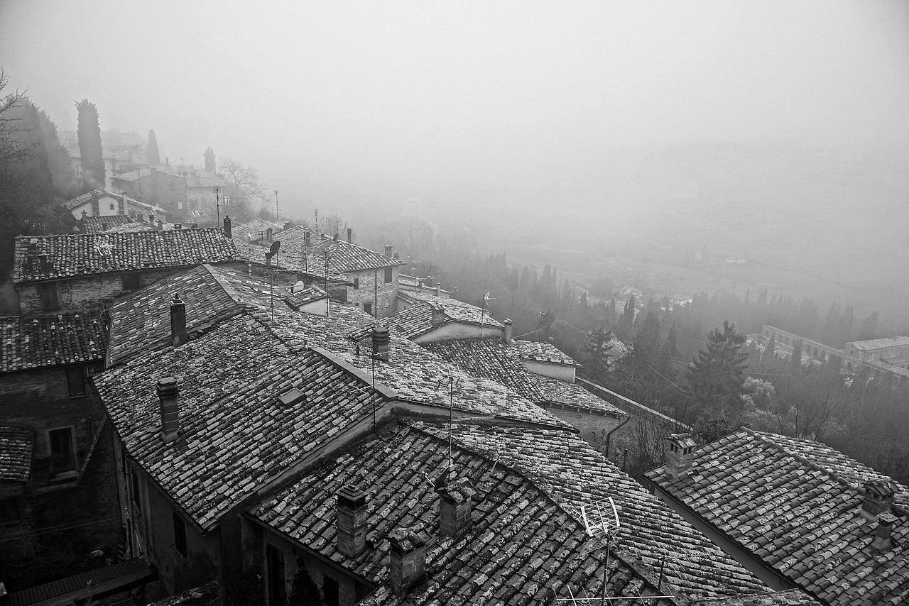 montepulciano  roofs  fog free photo