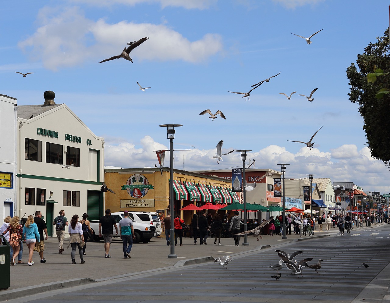 monterey california seascape free photo