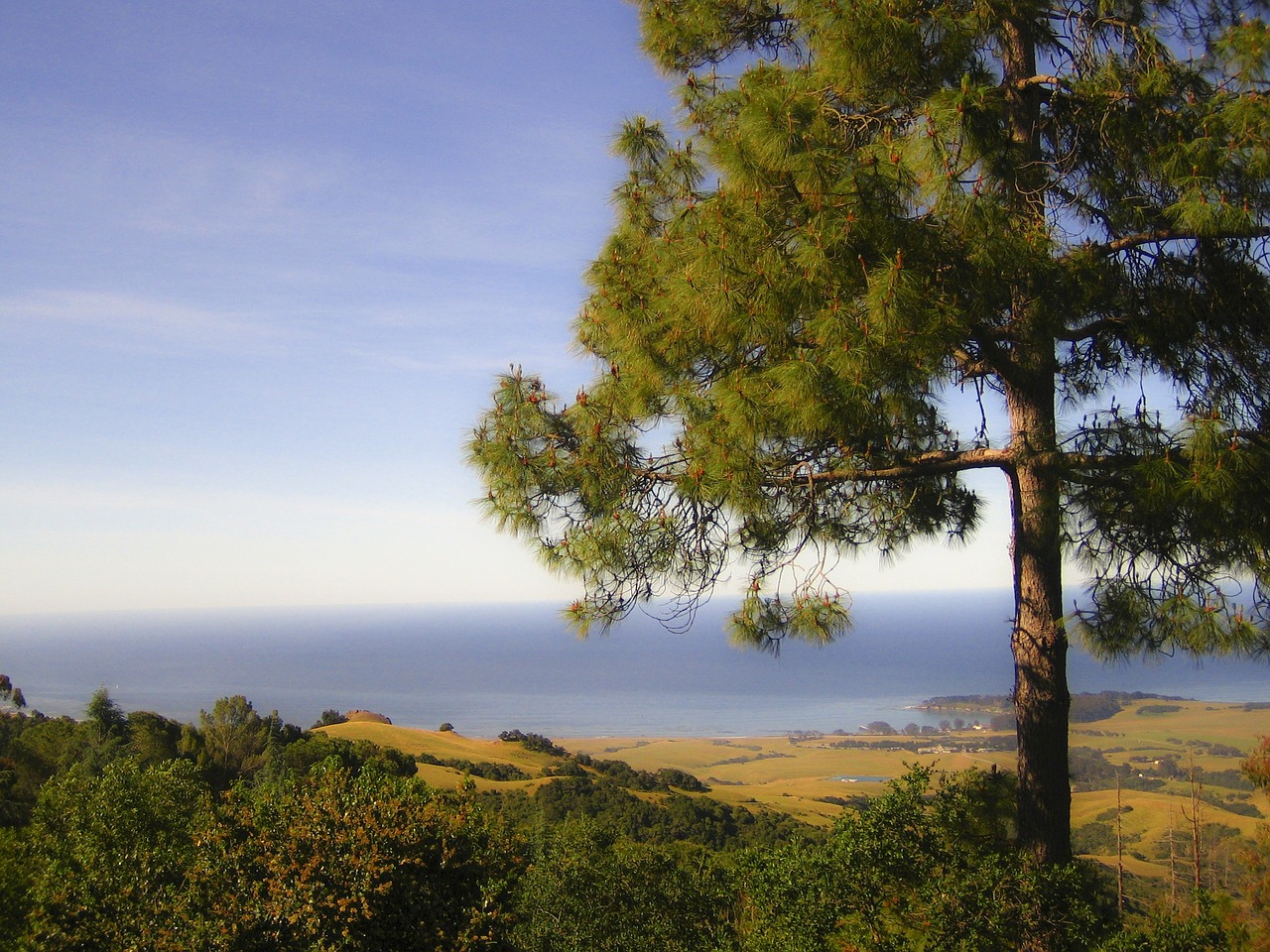 monterrey coastline california free photo